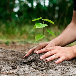 Tu-B'Shevat-Blog